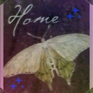 Meet your Posher, Bella